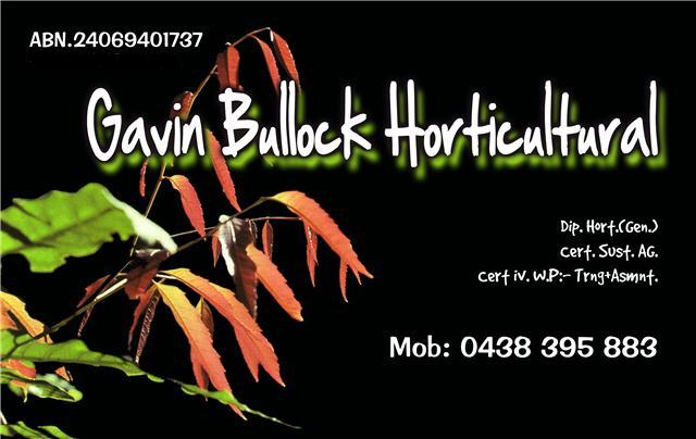bus card ajusted